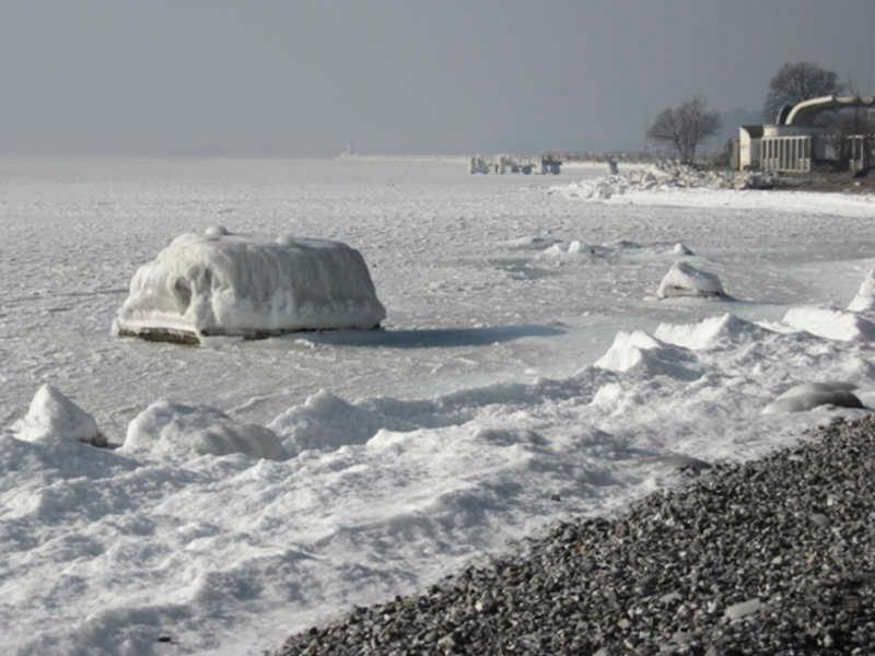 Ruegen Fewo 296 Sassnitz Exteriör bild
